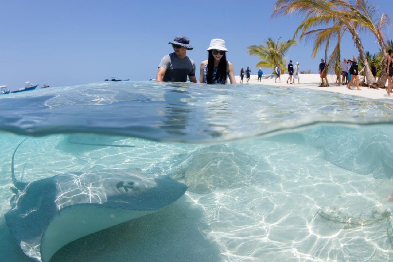 Crystal Sands Maafushi Exterior foto